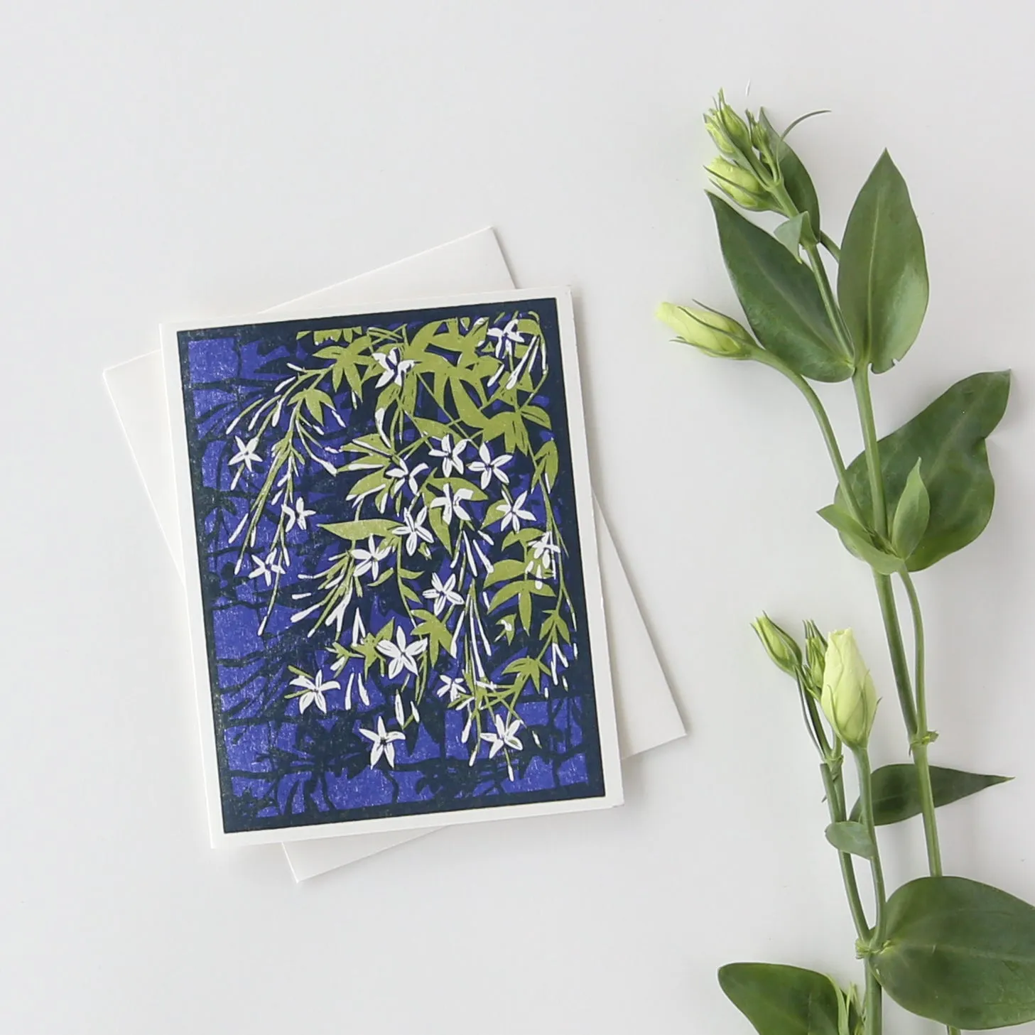 Climbing Jasmine Everyday Inspiration Card